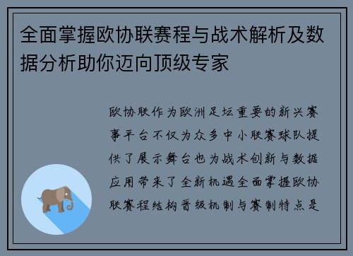 全面掌握欧协联赛程与战术解析及数据分析助你迈向顶级专家